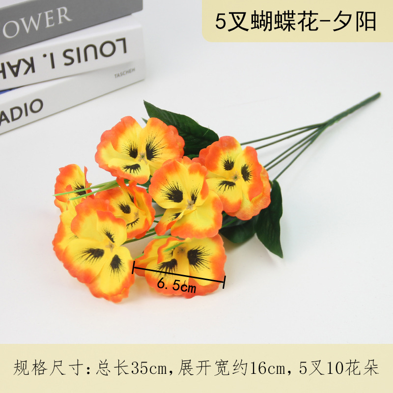 Butterfly flower sunset color
