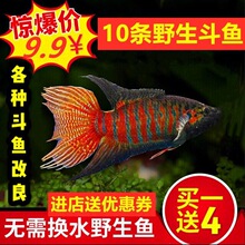 �Ї����~Ұ���ղ��^�p�~���w��β���ѷ�ֳ�䌦��ˮ�~���B���~���~