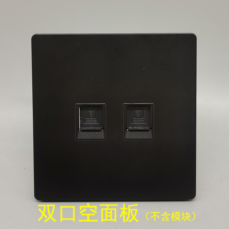 검은색 대형 이중 포트 패널 (모듈 없음)
