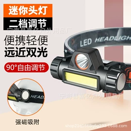 手电筒;头灯头戴电筒;提灯