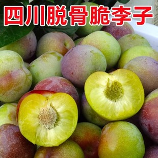 �Ĵ��������rˮ��Ó�����ӬF؛��t���5������߅�t������]2