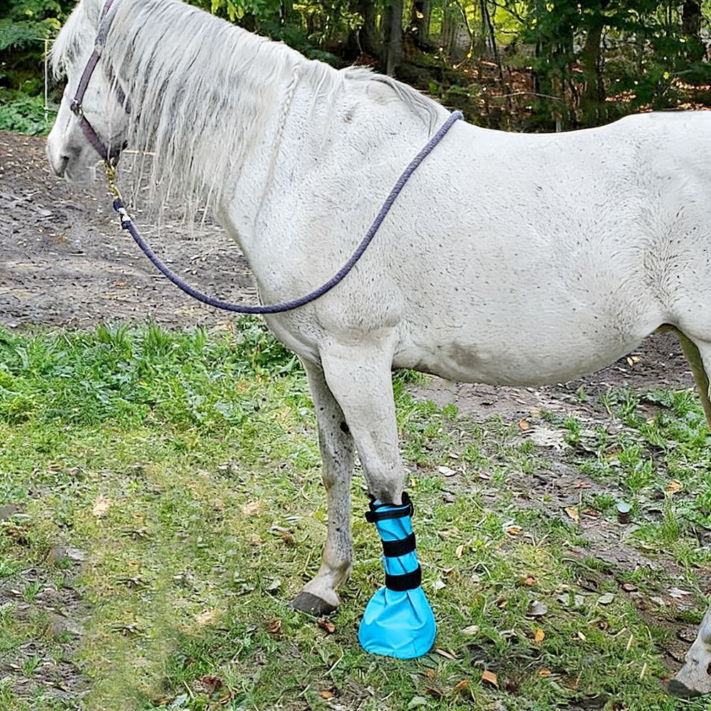 Botas de remojo para el tratamiento de herradura de caballo, bolsas de remojo especiales, almohadilla de actividad al aire libre, cinturón elástico grueso en stock