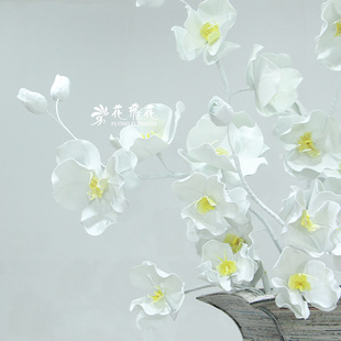 �¿ˇ�����m��䁙����OӋ�̈�dp�����Ʒ���Y�bzӰ����