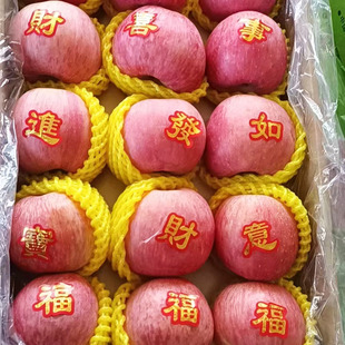 ���ڼt��ʿ�O�� ����Ϟ�O�����N�� ���r���䮔������ ��ʿ�O��