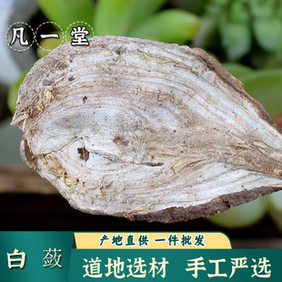 ����һ�á����` �����x��ɽ�ع� ���`Ƭ �ה� ��ĥ���`���ֹ����x