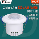 涂鸦智能zigbee传感器 AC220V红外探测器 无线人体红外移动传感器