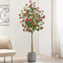 ���R�d���ͷ���Gֲɽ�軨��Ҿ�����bٻ�ֲ�����Ԕ[�����l