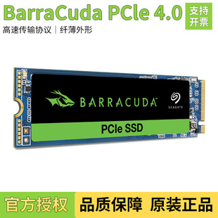 BarraCudam2�̑BӲ�P500GB���~PCle4.0�Pӛ��̨ʽSSD��X����Ӳ�P