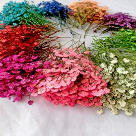 干花;商务礼品套装