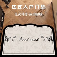 新款法式入户门垫pvc玄关免洗进门地垫小香风家用门口耐磨脚垫子