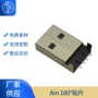 直立式am母座白胶