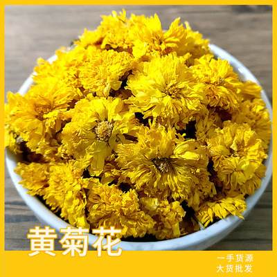 wholesale Huangshan Xiuning Huanggongju bulk Yellow chrysanthemums Chrysanthemum Tea Hand Source of goods
