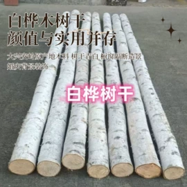 木质工艺品;其他装饰摆件;门后挂钩