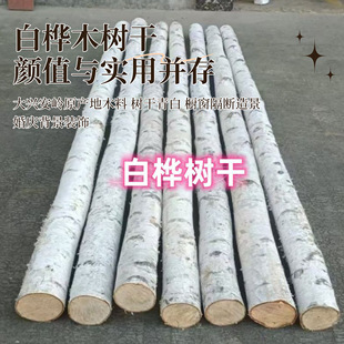 ���d���X�ט��U �Ҿ��b��౳������cľ�^ľ������DIY��Ȼ