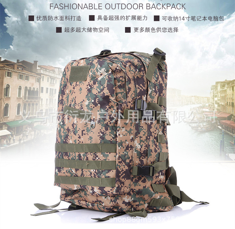 详情03.jpg