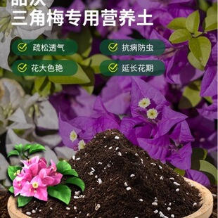 ����÷���I�B�������_�������������������Nֲ�����B��ͨ��