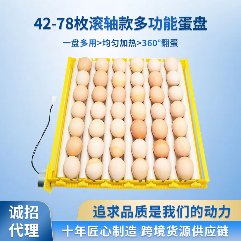 Incubadora automática Placa de huevo de pollo pato codorniz Placa de huevo con motor pequeño hogar incubadora accesorios de suministro transfronterizo