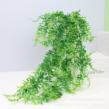 ����ڒ첨˹���ٗl����Ғ�ާ�ֲ�������Ғ�Gɫֲ���b��~