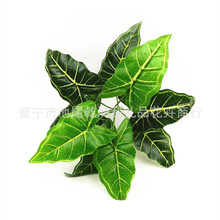 ����Gֲ�S��ֱ�N9�^�f�������~ֲ�����^�z�~���������d���u