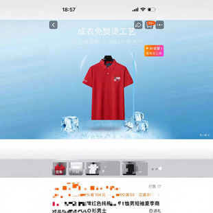 ��ʿ 100�� polo����T��-6687