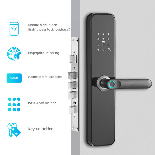 New apartment homestay wooden door anti-theft door lock graffiti Tuya universal TTlock electronic password smart fingerprint lock