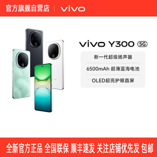 viv0 Y300 ȫ�Wͨ5G�����֙C �L�m����ȴ��o�� 6.77Ӣ��6500����