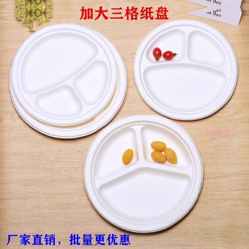 Disposable Paper Plate, Biodegradable Buffet Plate, Sugar Cane Environmentally Friendly Paper Plate, Packed Lunch Box, Picnic Party Tableware Disc