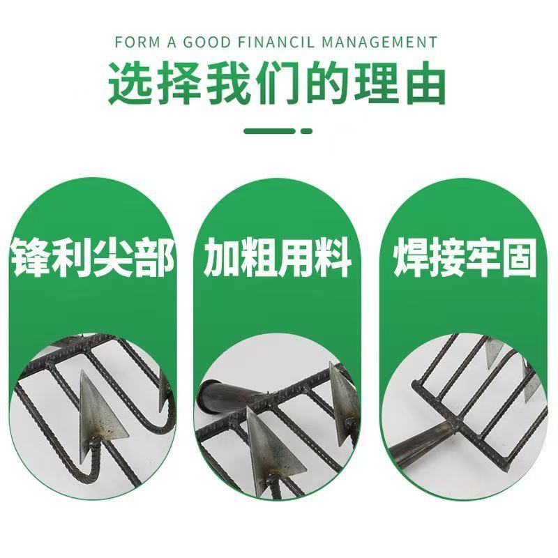 微信图片_20250606090440.jpg