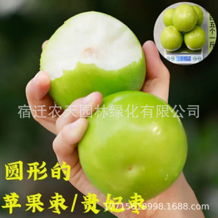 �O��������̨���������޽��� ���Թ��� ţ�̗� ����һ̖ ����Y��