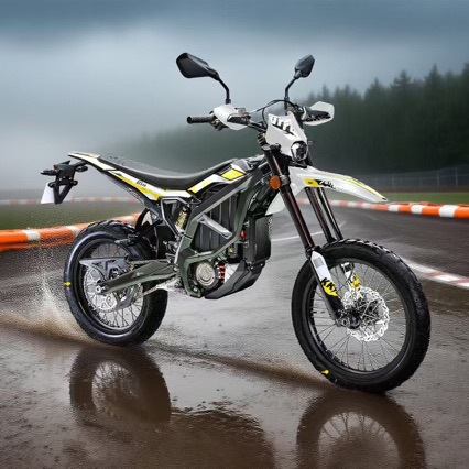 Surron Ultra Bee Bee X12.5kw motocicleta eléctrica de carretera de resistencia de dos ruedas