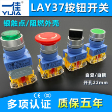 һ�ю������oLAY37-11BN�ԏ�λ/ZS���i�c�ӆ���ֹͣ22mm�A���_�P