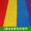 2 cm grid encrypted color runway