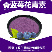 蓝莓花青素蓝 莓提取物 花青素5-25%蓝莓浓缩粉 优硕生物食品原料