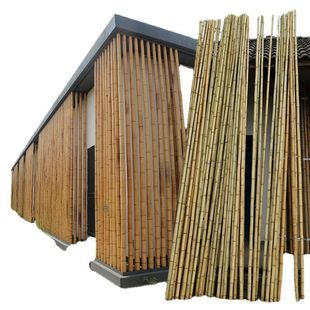 Anti-Corrosion Bamboo Poles Wholesale Decorative White and Yellow Thick and Thin Bamboo Poles Bean Garden Cucumber Scaffolding Vegetable Rack Bamboo Flagpole Nanzhu