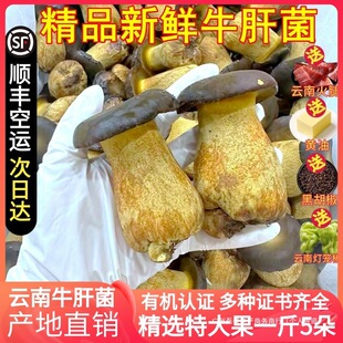 ���rţ�ξ� Ҋ������S���\��ţ���Sţ�ΰ�ţ�ξ���Ұ����Ͼ���