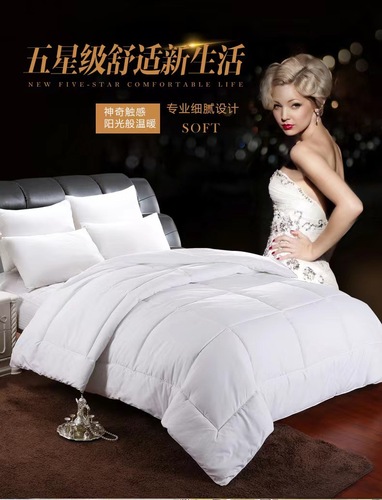 Five-star hotel core hotel homestay spring and autumn can be used all seasons core air conditioner summer cool core plus thick autumn and winter core