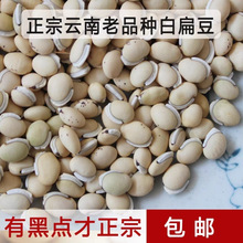 云南白扁豆哀牢山彝家山地自种老品种扁豆新鲜精选杂粮可打粉