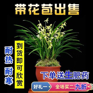 ���m���F�m���ļ��m�_���M�������B�҃ȾGֲ����