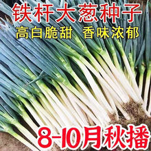 ɽ|[FUNӸ߮aƷ߲˷Nļ߮a[ѷNZ