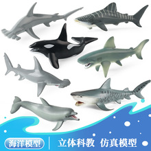 ��ͯ���ķ��溣���������{�L���X������������������ģ�͔[��