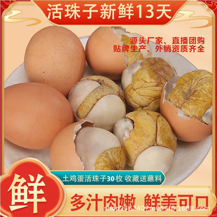 �������l�r������������r����ζë���켴ʳ����䓻����u�ߵ��ך�