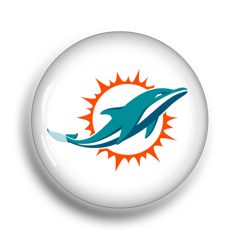 마이애미 돌핀스