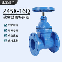 Z45X-16Q���mܛ�ܷ��l�y�����ԁ�ˮ�_�P���m�l�y����������ī�T�F