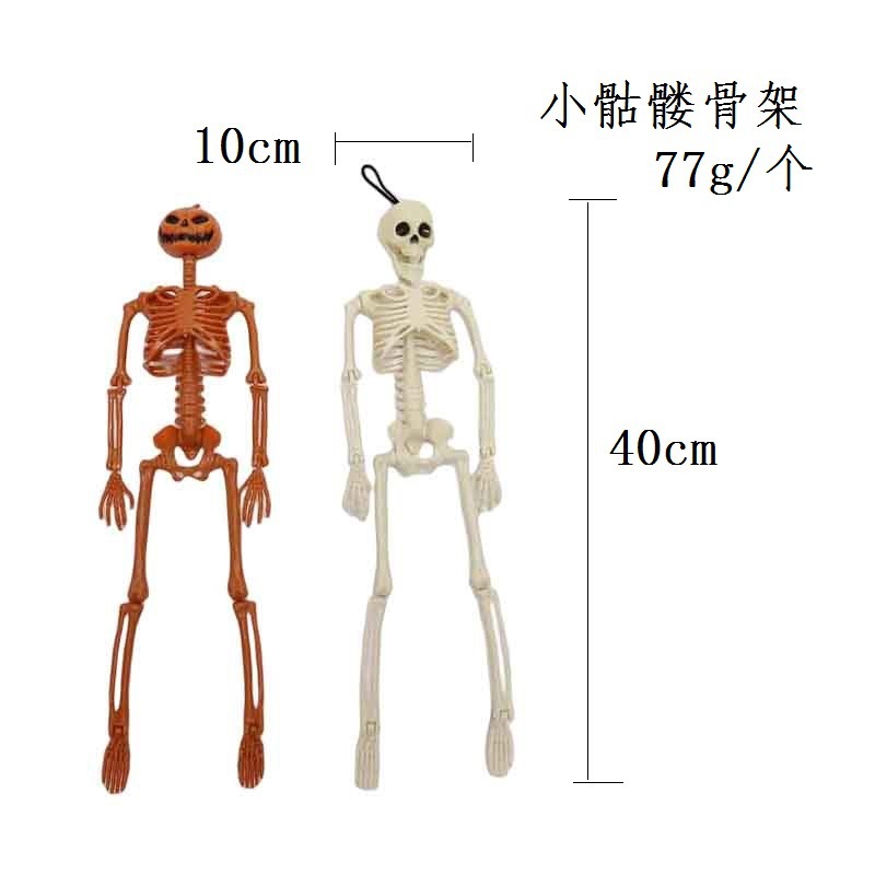骷髅骨架 (3).jpg