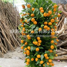 �������Ә��b���֦�쾰�������ԾGֲ���Ә��{��������b�