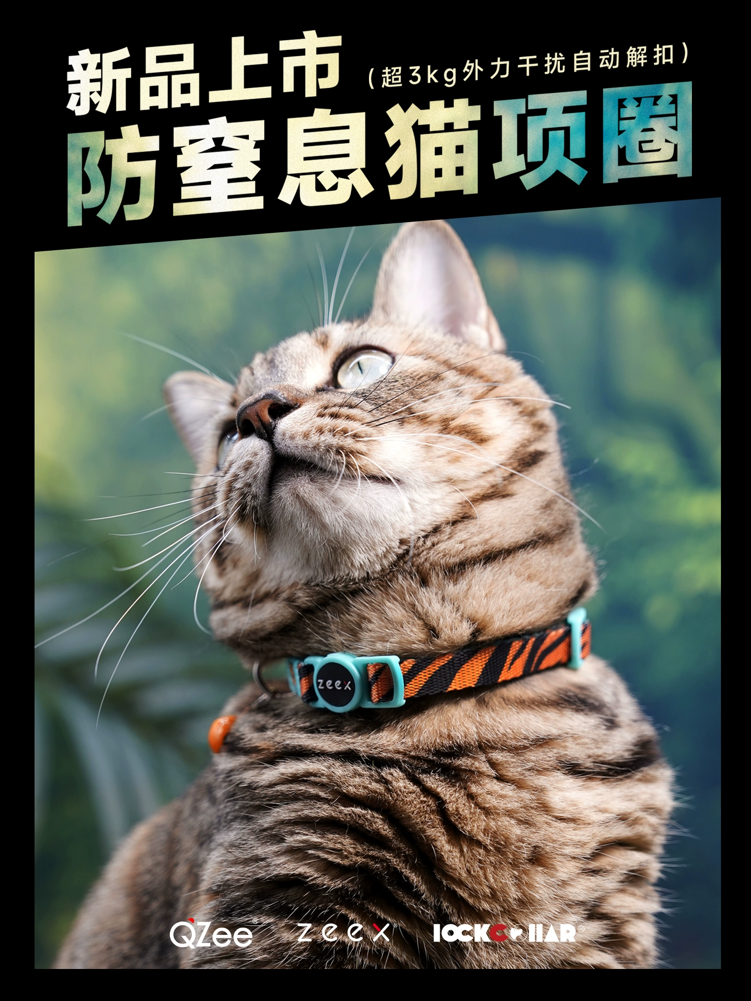Zeex анти-удушающий ошейник для кошек QZee, пряжка безопасности для домашних животных, регулируемый, анти-потерянный, регулируемый именной колокольчик для шеи для молодых кошек