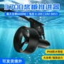 整机水上功率户外鱼鳍