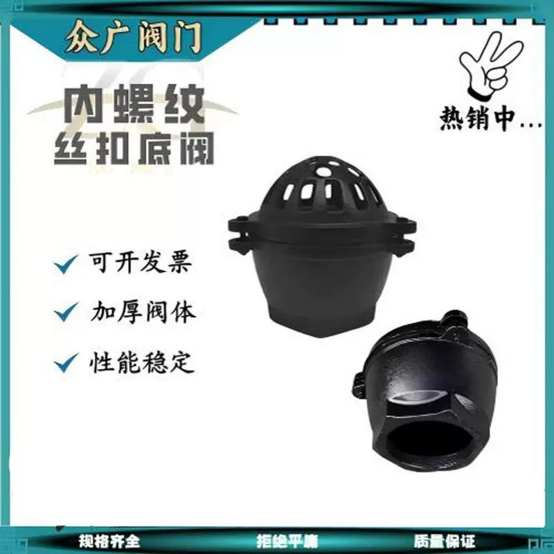 内螺纹丝扣吸水阀 抽水泵底阀 铸铁止回阀 DN25 40 50 65 80 100