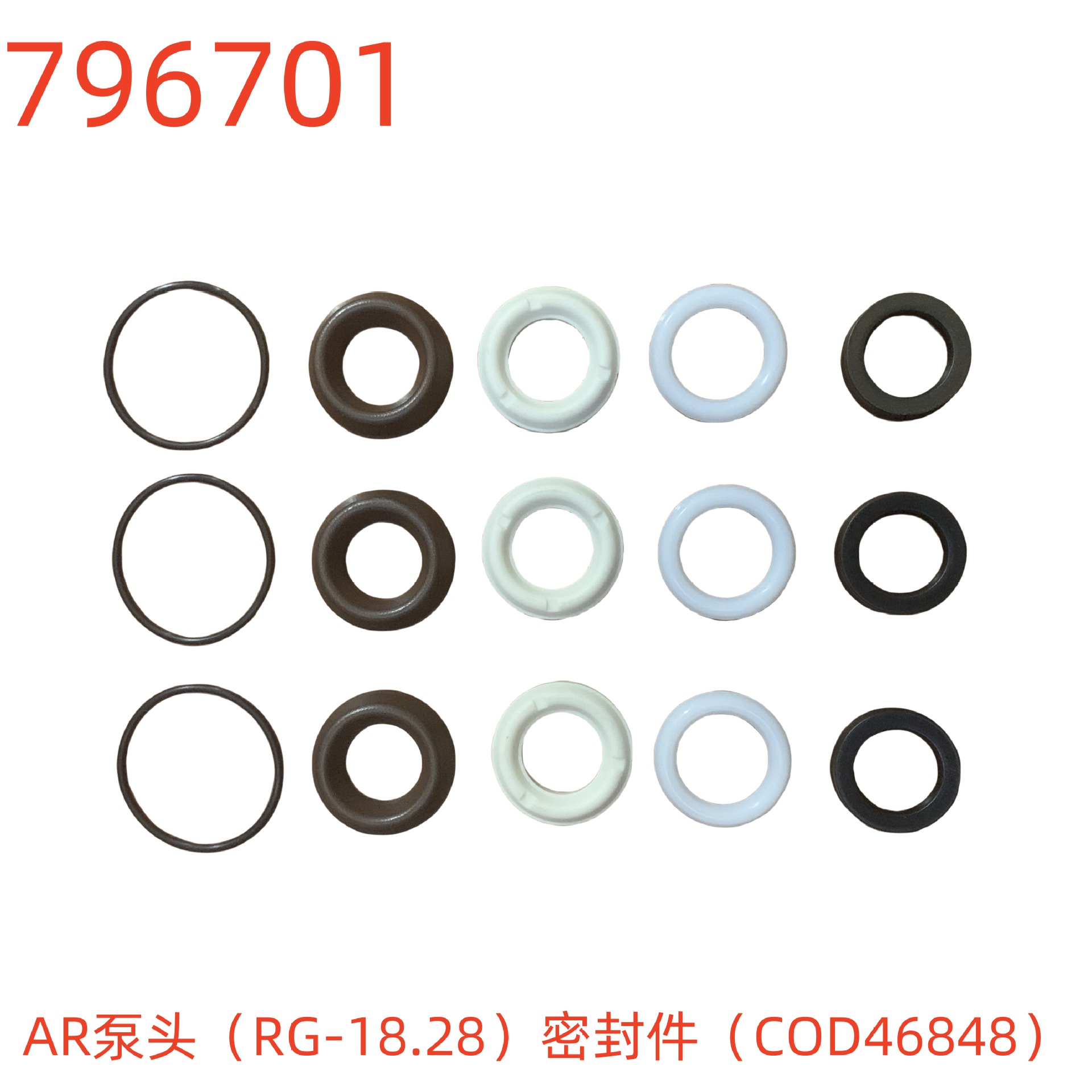 AR泵头（RG-18.28）密封件（COD46848）-796701号
