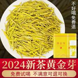 （美不过黄金汤 豆香味） 2024新春茶 黄金芽嫩芽  绿茶茶叶批发